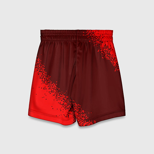 Детские шорты РОССИЯ - ГЕРБ Team Russia Спрей / 3D-принт – фото 2