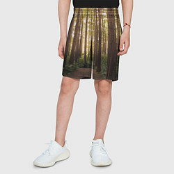 Шорты детские Дневной лес, деревья и свет, цвет: 3D-принт — фото 2