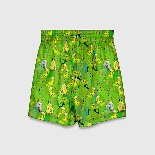 Детские шорты Зеленые волнистые попугайчики / 3D-принт – фото 2