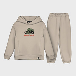 Детский костюм оверсайз СИЛА НОСОРОГА