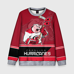 Детский свитшот Carolina Hurricanes