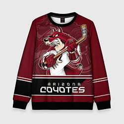 Детский свитшот Arizona Coyotes