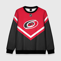 Свитшот детский NHL: Carolina Hurricanes, цвет: 3D-черный