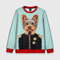 Свитшот детский Йоркширский терьер адмирал, цвет: 3D-красный