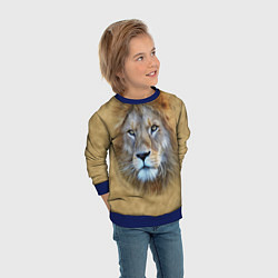 Свитшот детский Песчаный лев, цвет: 3D-синий — фото 2