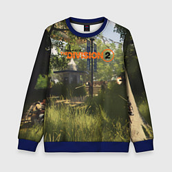 Свитшот детский Tom Clancy's The Division, цвет: 3D-синий