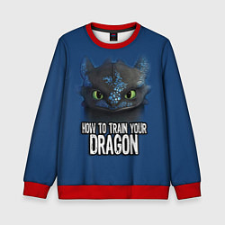 Детский свитшот How to train your dragon