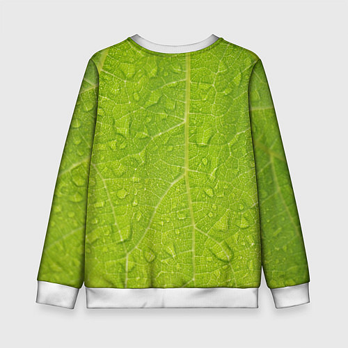 Детский свитшот Листок с росой / 3D-Белый – фото 2
