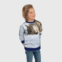 Свитшот детский Спящий Волк, цвет: 3D-синий — фото 2