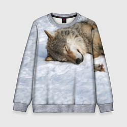 Свитшот детский Спящий Волк, цвет: 3D-меланж