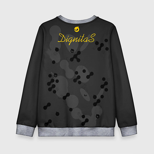 Детский свитшот Dignitas Jersey pro 202122 / 3D-Меланж – фото 2