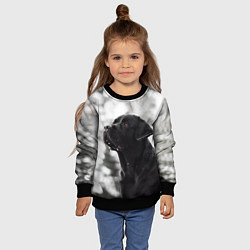 Свитшот детский Лабрадор Марк, цвет: 3D-черный — фото 2