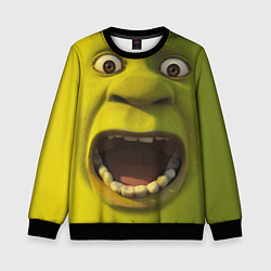 Свитшот детский Shrek is Yelling, цвет: 3D-черный