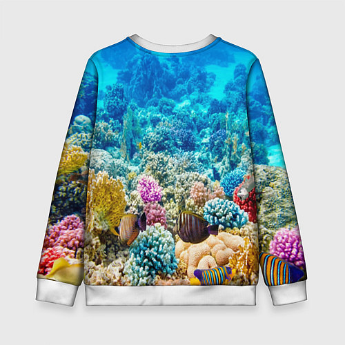 Детский свитшот Риф / 3D-Белый – фото 2