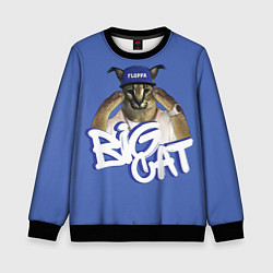 Детский свитшот Big Cat Floppa