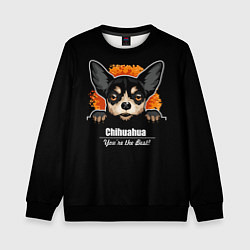 Детский свитшот Чихуахуа Chihuahua
