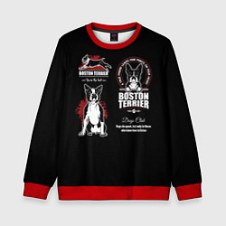 Детский свитшот Бостон-Терьер Boston Terrier