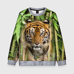Свитшот детский Матёрый тигр в зарослях бамбука, цвет: 3D-меланж