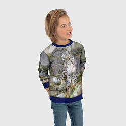 Свитшот детский Снежный барс среди скал, цвет: 3D-синий — фото 2