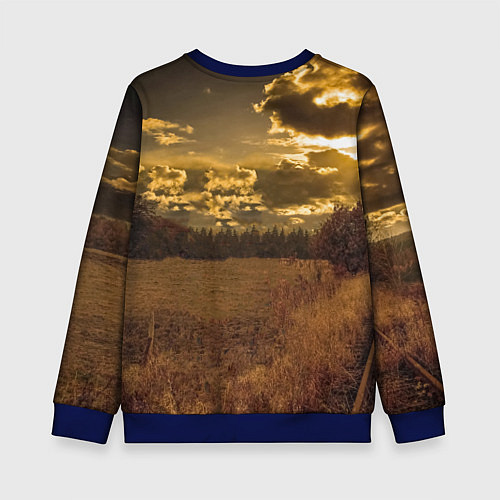 Детский свитшот STALKER В Поле / 3D-Синий – фото 2