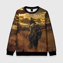 Свитшот детский STALKER В Поле, цвет: 3D-черный