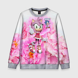 Свитшот детский Sonic - Amy Rose - Video game, цвет: 3D-меланж