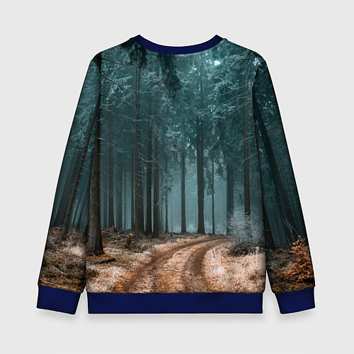 Детский свитшот Мрачный Лес GLOOMY / 3D-Синий – фото 2