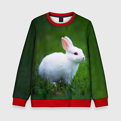 Свитшот детский Кролик на фоне травы, цвет: 3D-красный