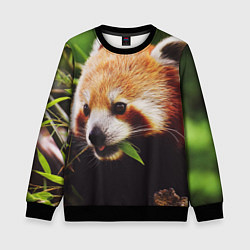 Свитшот детский Красная милая панда, цвет: 3D-черный
