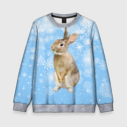 Свитшот детский Кролик и снежинки, цвет: 3D-меланж