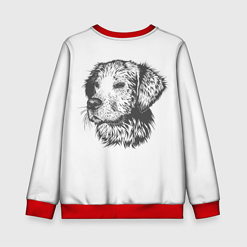 Детский свитшот Дружок / 3D-Красный – фото 2