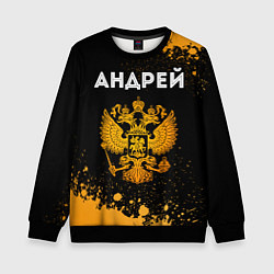 Свитшот детский Андрей и зологой герб РФ, цвет: 3D-черный