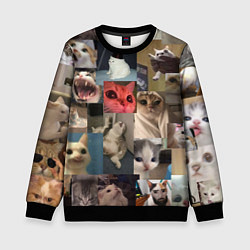 Свитшот детский Мемные котики, цвет: 3D-черный