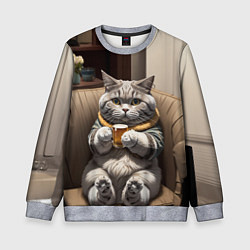 Свитшот детский Кот сидит на диване с напитком, цвет: 3D-меланж
