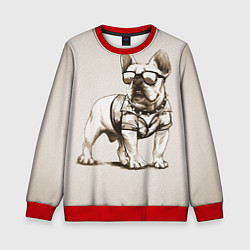 Свитшот детский Французский бульдог в очках и рубашке, цвет: 3D-красный