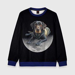 Свитшот детский Лабрадор и луна, цвет: 3D-синий