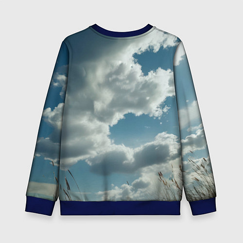 Детский свитшот Русский медведь с щитом / 3D-Синий – фото 2