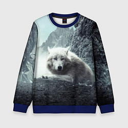 Свитшот детский Волк в горах, цвет: 3D-синий