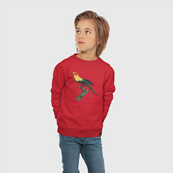 Свитшот хлопковый детский Попугай аратинга, цвет: красный — фото 2