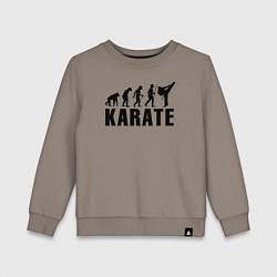 Свитшот хлопковый детский Karate Evolution, цвет: утренний латте