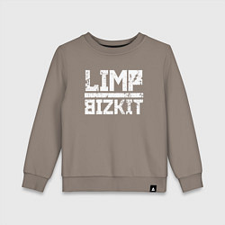 Детский свитшот LIMP BIZKIT