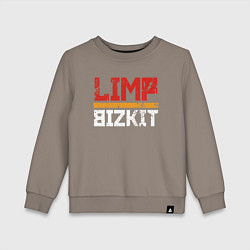 Детский свитшот LIMP BIZKIT