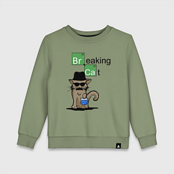 Свитшот хлопковый детский Breaking Cat, цвет: авокадо