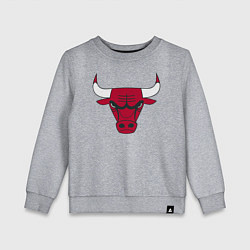 Детский свитшот Chicago Bulls