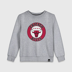 Детский свитшот CHICAGO BULLS