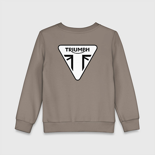 Детский свитшот Triumph Мото Лого Z / Утренний латте – фото 2