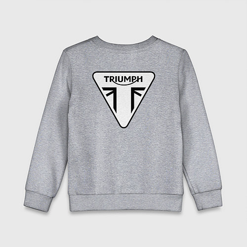 Детский свитшот Triumph Мото Лого Z / Меланж – фото 2