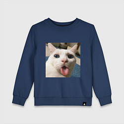 Свитшот хлопковый детский Мем про кота, цвет: тёмно-синий