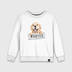 Детский свитшот Dog Wanted