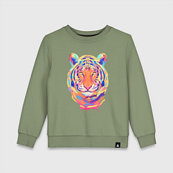 Детский свитшот Color Tiger